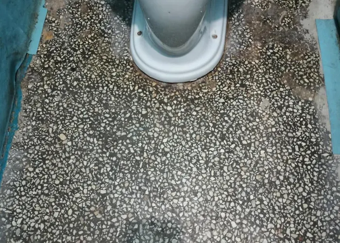 Amadeus 19 Apartament Sunny Beach